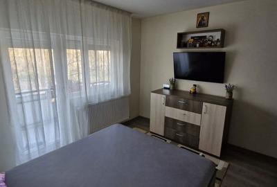 Apartament cu 3 camere semidecomandat în Micălaca - 12