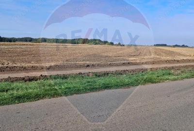 Teren de 21177 mp, în Santăul Mic