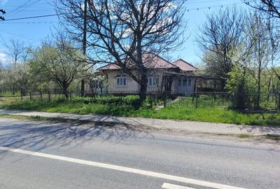 Casă individuală cu 4 camere cu Teren 3600 Mp în Rădăuți-Prut - 1