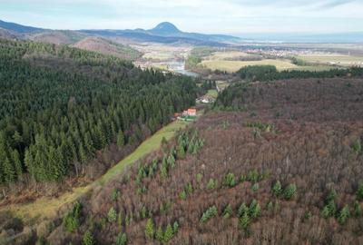 Teren intravilan 2000 mp în Vulcan BV – Oază de liniște între pădure și lacuri - 9