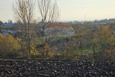 Teren agricol extravilan de 6100 mp, în Stroiești - 9