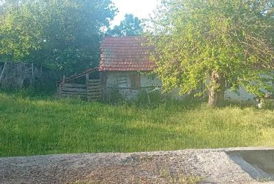 Casă cu 2 camere în Lăpușnic - 3