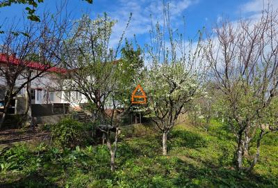 Casă individuală cu 3 camere cu Teren 1024 Mp în Bucium - 1