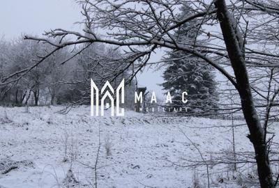 Teren Construcții intravilan de 20000 mp, în Dângești - 6