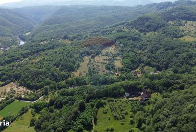 Casă cu 4 camere în Vad - 7