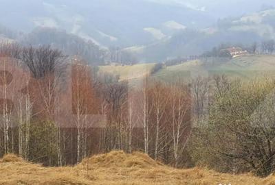 Teren de 9648 mp, în Central - 2