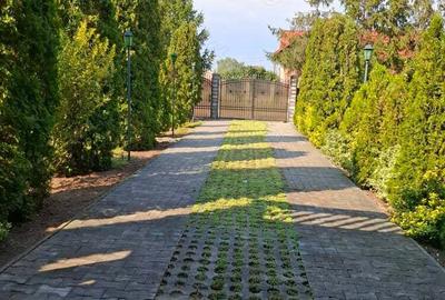 Casa cu lac in comuna Acas jud Saru Mare - 1