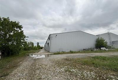 Vanzare depozit/hala/spatiu industrial/showroom/birouri Otopeni - Balotesti - DN - 2