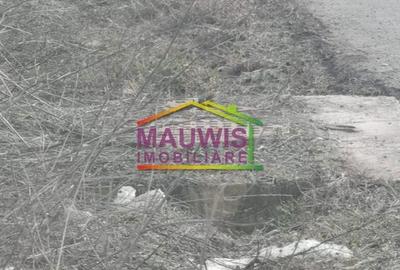 Spațiu comercial, în Tânganu - 3