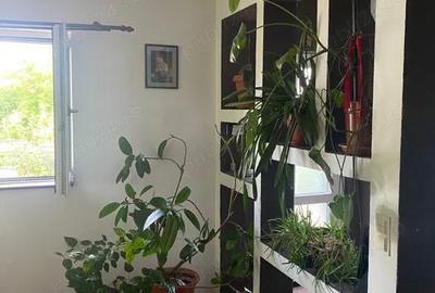 Casa de vanzare, Zona deosebita - 4