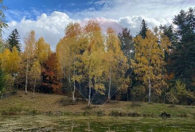 DE VANZARE Pensiune | 12 camere | Bisoca / Buzau - 23