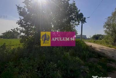 Teren de 5000 mp, în Copăceni - 7