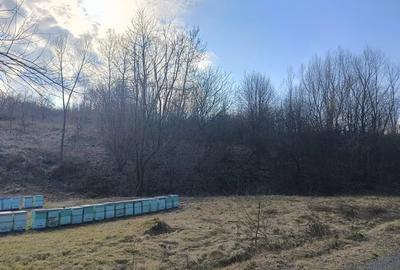 Teren de 4944 mp, în Dobra - 7
