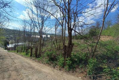 Spațiu comercial, în Mărgineni - 6