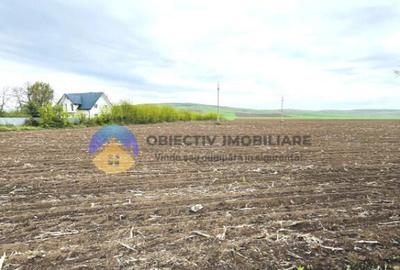 TEREN intravilan PIATRA NEAMT strada Izvoare - 4