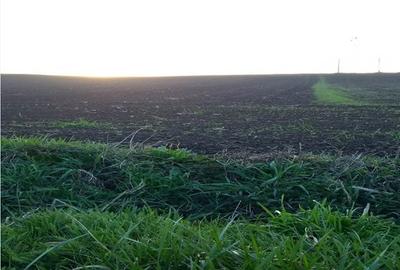 Teren Construcții intravilan de 27700 mp, în Iernut - 8