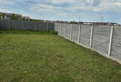 Casă cu 3 camere cu Teren 260 Mp în Timișoara - 3