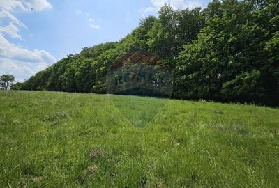 Teren Ilisesti  7000mp extravilan/ DN 17, Suceava - 23