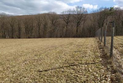 Teren de 4041 mp, în Dobârlău - 2