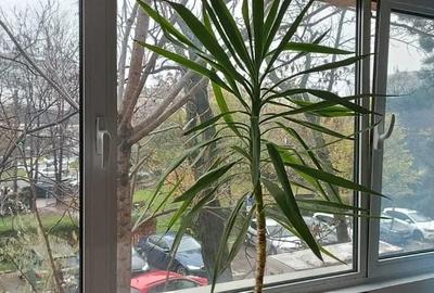 Închiriere Apartament  Nicolae Grigorescu Sălăjan - 4