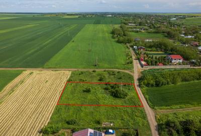 FRUMUSANI - POSTAVARI, TEREN 1500 MP, FRONT 30 M ! - 11