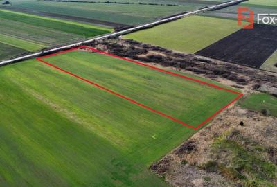 Teren Construcții intravilan de 25000 mp, în Central - 4