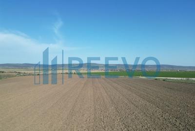 Teren de vânzare, Com. Nicolae Bălcescu, Jud. Bacău - 4