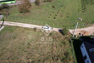 Teren Intravilan - Viisoara - 3