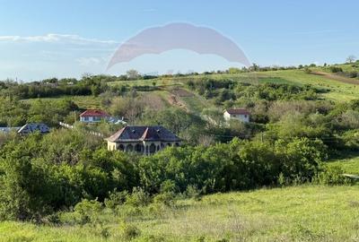Conac Boieresc + 4876 mp teren intravilan la 12 km de Craiova