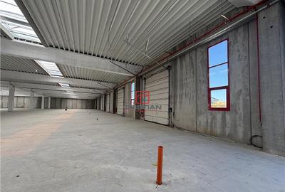 Depozit/spatiu industrial/hala Chitila - Rudeni, ILFOV - 1