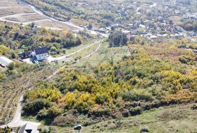 Teren Extravilan Bucium - Mun Iasi - 2