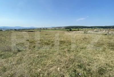 Teren de 3800 mp, în Aghireș - 5