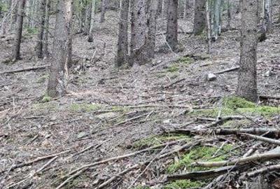 Spațiu comercial, în Vama - 1