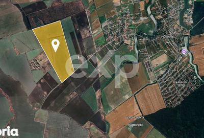 Teren de 450000 mp, în Corbeanca - 3
