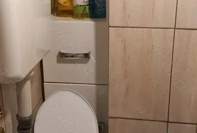 Inchiriere apartament la casa - 10