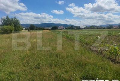 Teren intravilan la sosea, 6400 mp, Vicov de Sus - 3