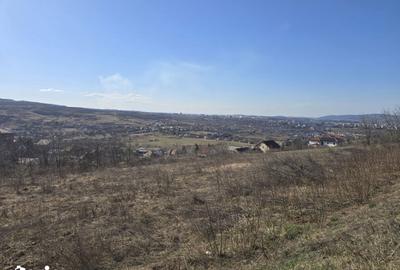 Teren de 2900 mp, în Borhanci