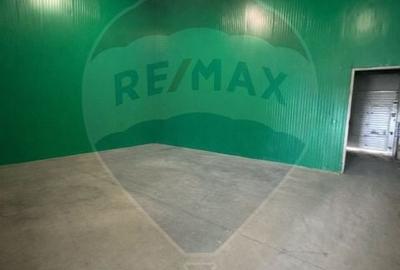 Hala industriala de vanzare in Poiana-Ovidiu - 6