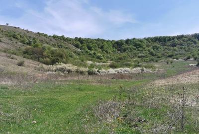 Spațiu comercial, în Florești - 3