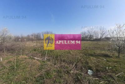 Teren Construcții intravilan de 4800 mp, în Glina - 14
