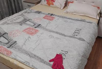 Apartament cu 2 camere decomandat în Gorjului - 3