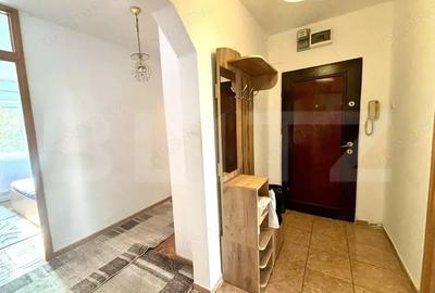 Apartament cu 4 camere decomandat în Girocului - 9