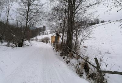 Teren de 12066 mp, în Breaza - 6
