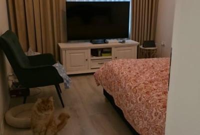 Apartament cu 4 camere decomandat, mobilat în Dumbrăvița - 8