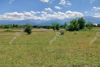 Teren intravilan 5000 mp pe Valea Avrigului, Sibiu - 8