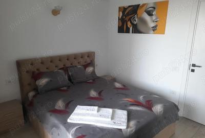 Apartament cu 2 camere decomandat în Nord - 8