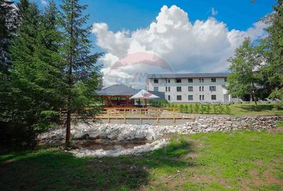 Hotel/Pensiune, de 972 mp, în Budureasa - 13
