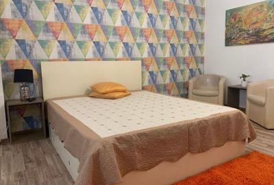 Garsonieră semidecomandată, mobilată în Dristor - 2