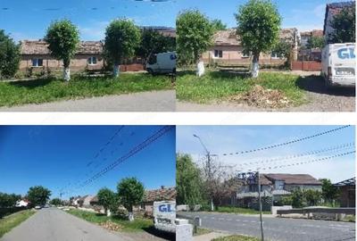 Cota 1/2 din casa situata in loc. Carpinis, jud. Timis - 3