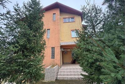 Spațiu comercial, de 300 mp, în Berceni - 12